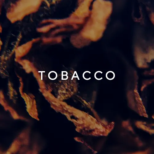 BDK Tabac Rose 100ml