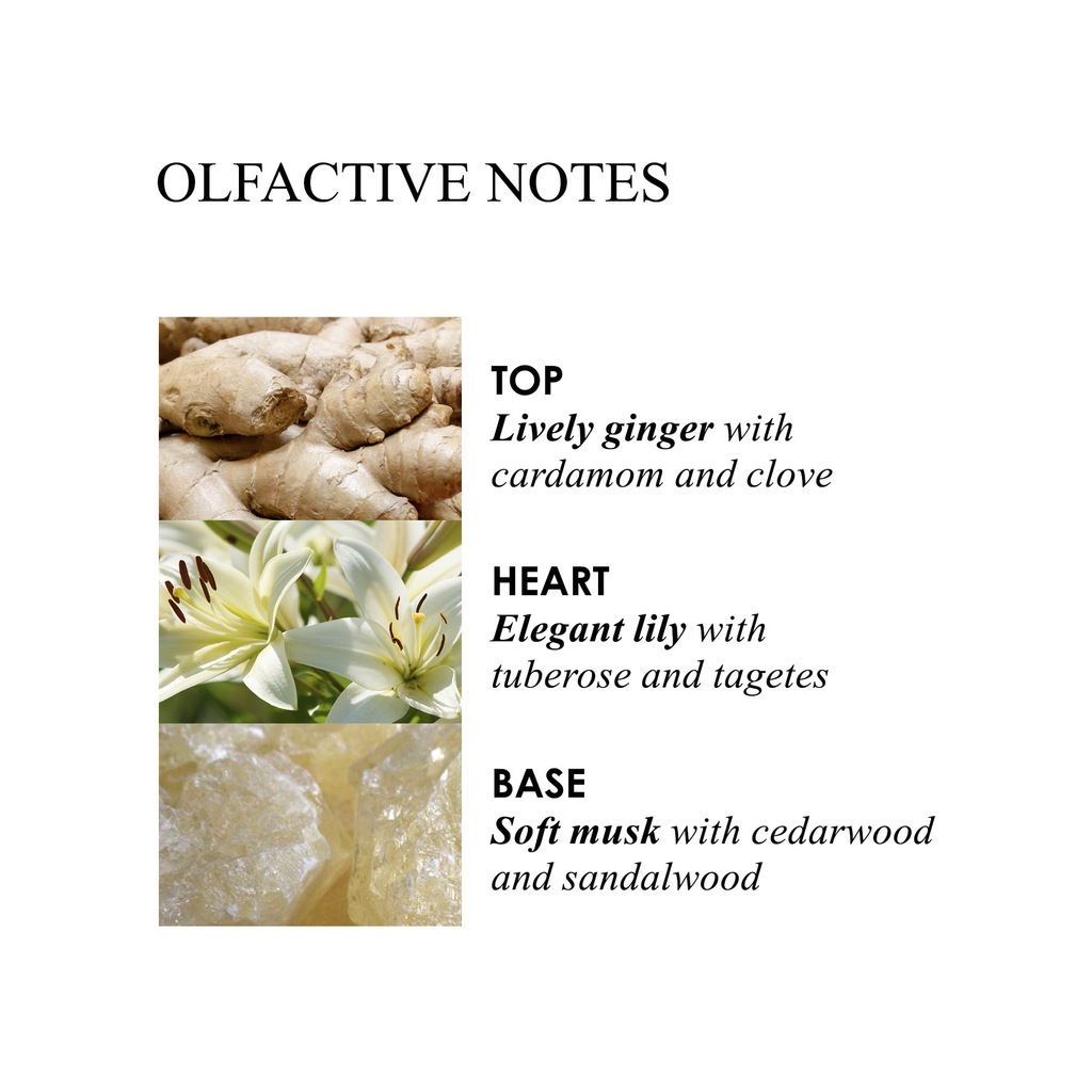 Molton Brown Gingerlily Body Wash Indulge & Cleanse