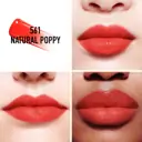 DIOR Dior Addict Lip Tint