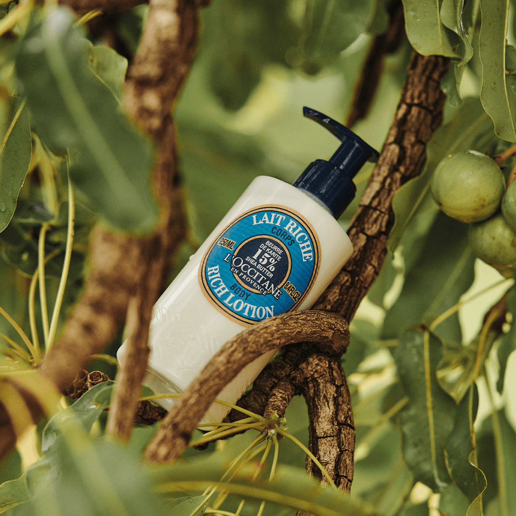 Luxurious Hydration L'Occitane Shea Butter Body Lotion