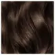 IGK PERMANENT COLOR KIT Hot Chestnut- Warm Golden Brown