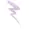 Lilac Link
