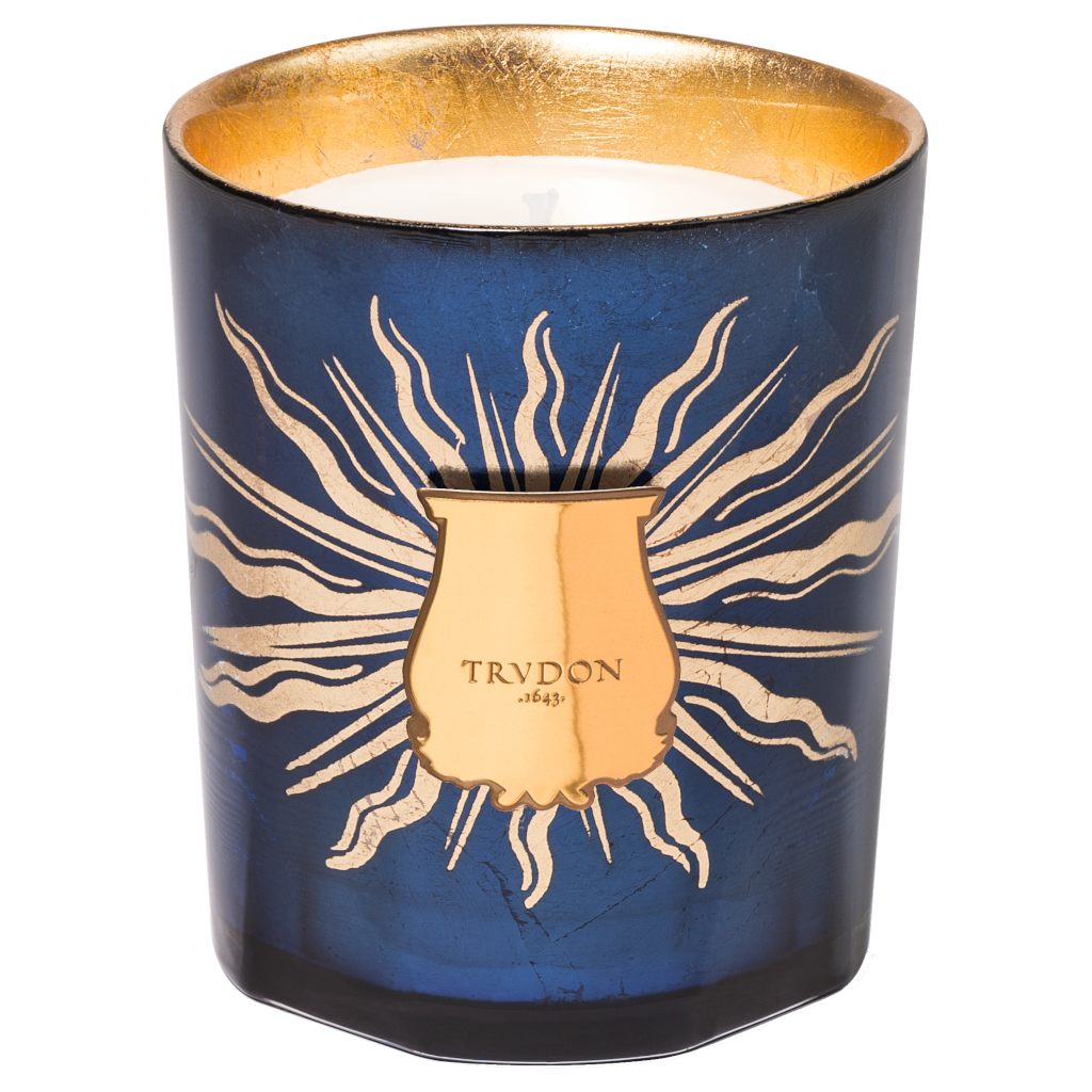 Trudon Fir Festive Candle 270gm AU Adore Beauty