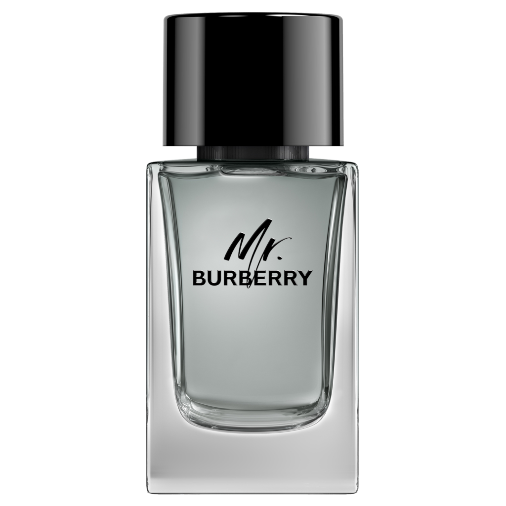 Burberry mr hot sale burberry 100ml