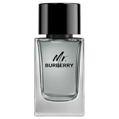 Burberry Mr. Burberry Eau de Toilette 100ml