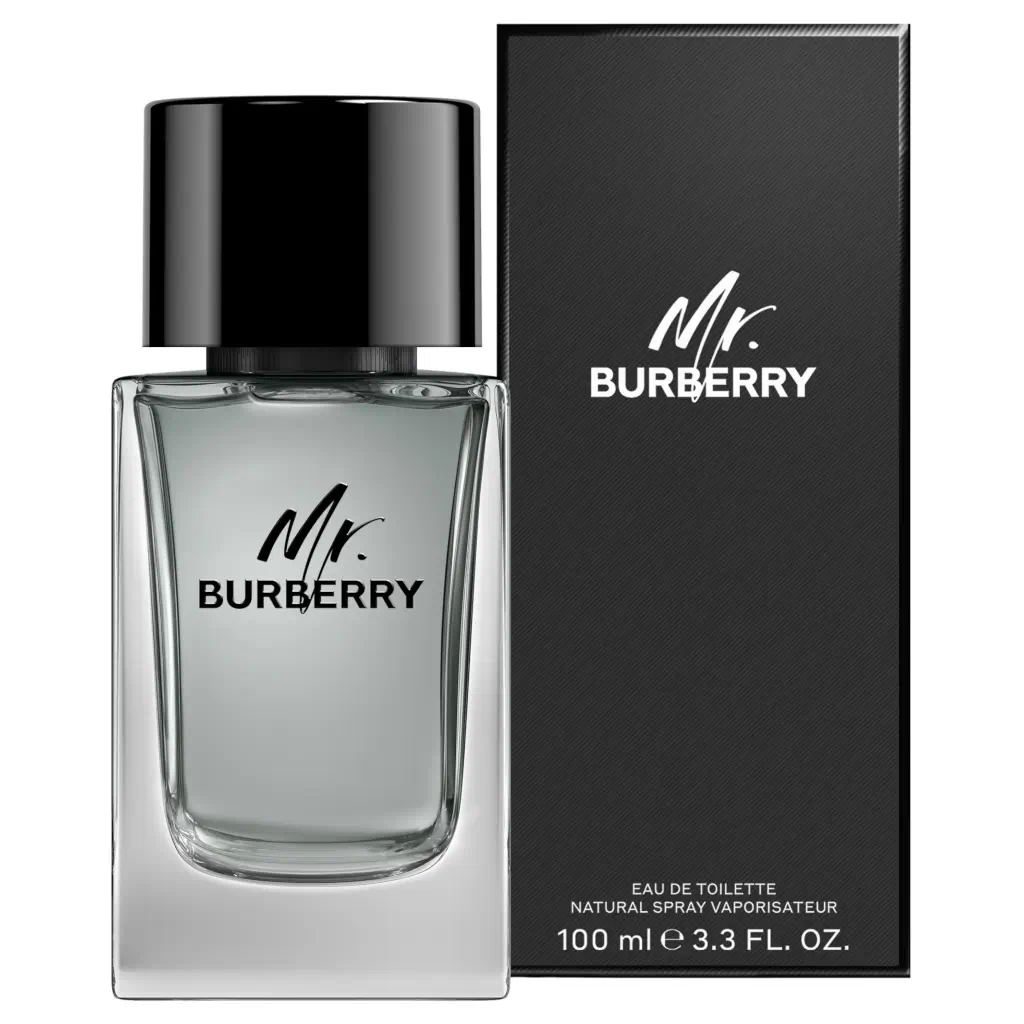 Burberry Mr. Burberry Eau de Toilette 100ml