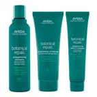 Aveda Botanical Strengthening Repair Bundle
