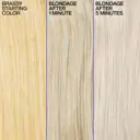 Redken Color Extend Blondage Shampoo