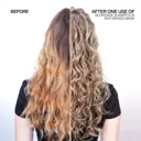 Redken Color Extend Blondage Shampoo