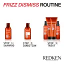 Redken Frizz Dismiss Shampoo 300ml