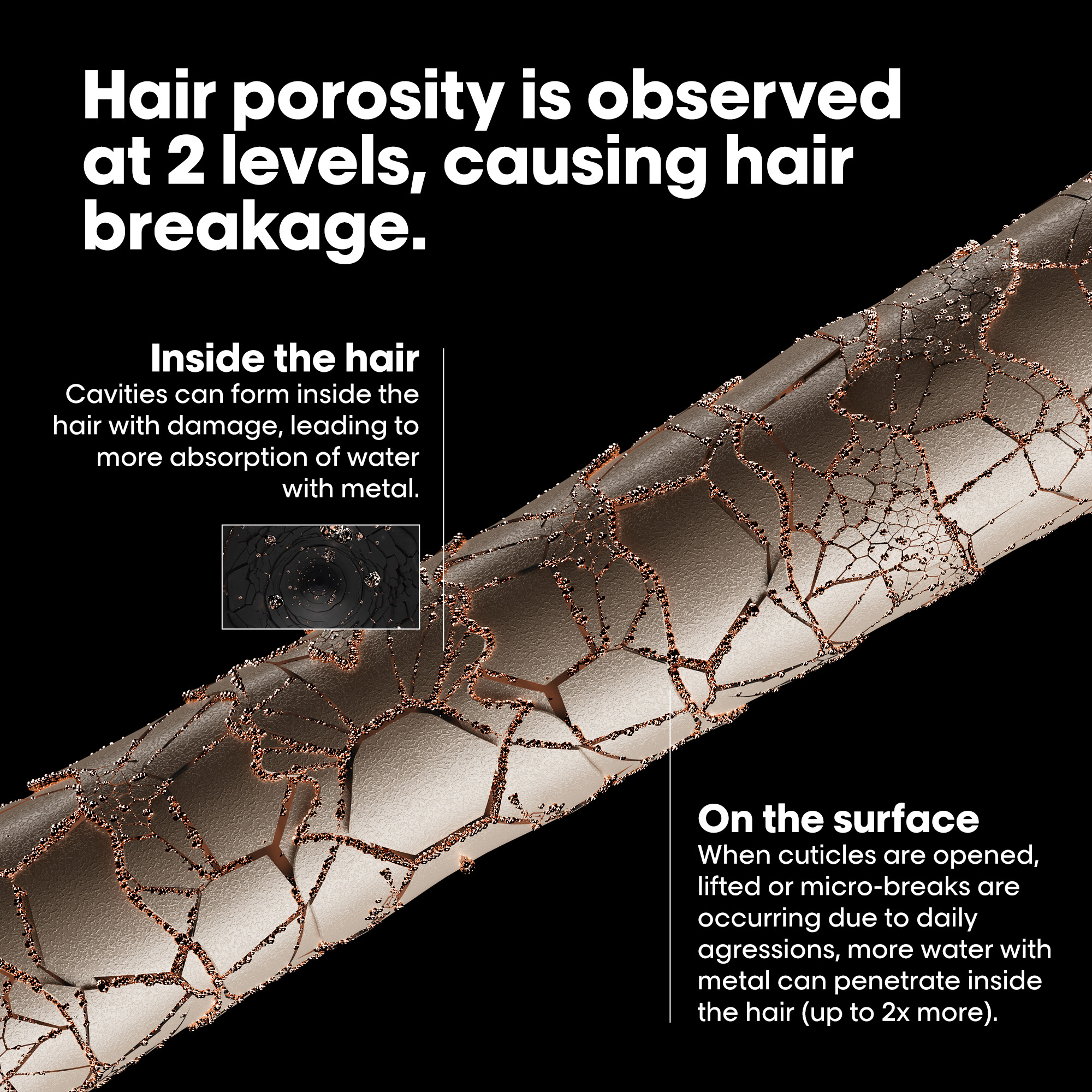 L'Oreal Professionnel Metal Detox Pre-Shampoo Treatment