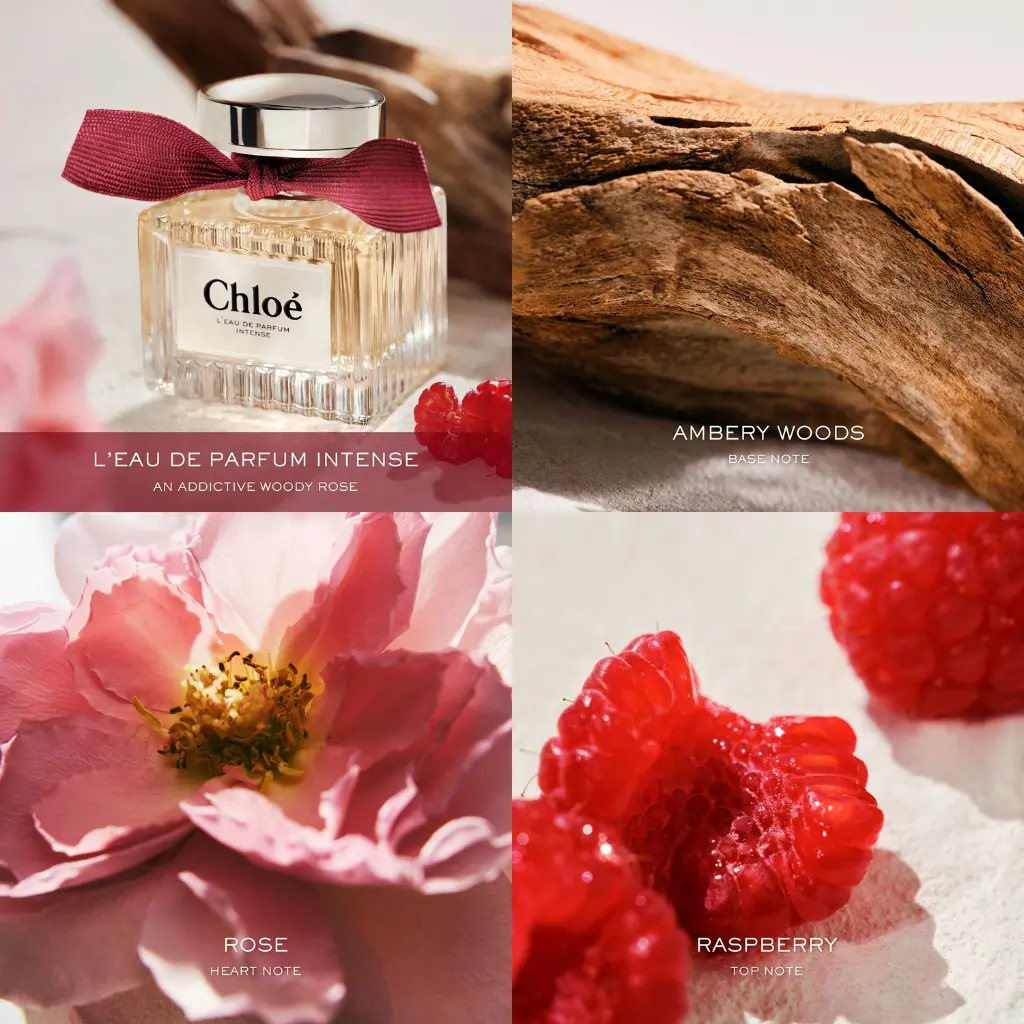 Chloé l'Eau de Parfum Intense for Women 50ml