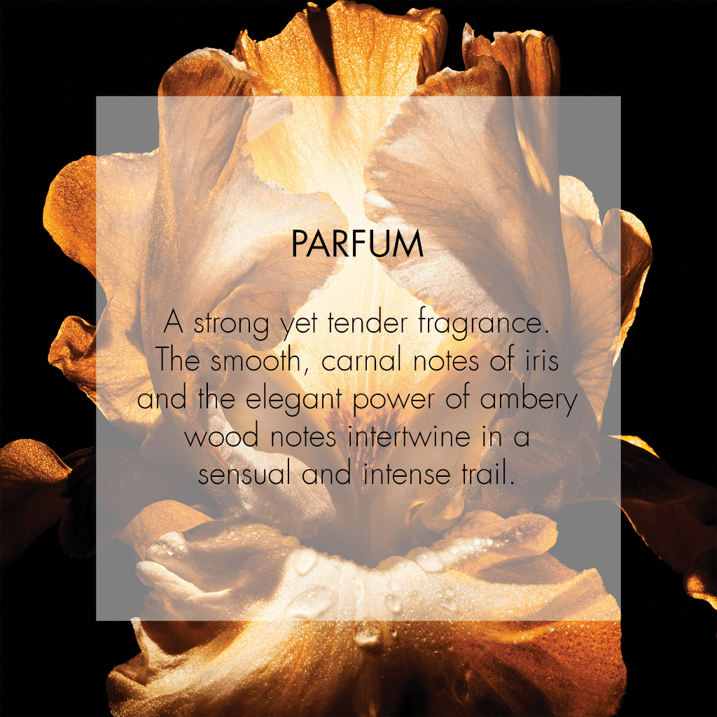 DIOR Homme Parfum 75ml AU | Adore Beauty