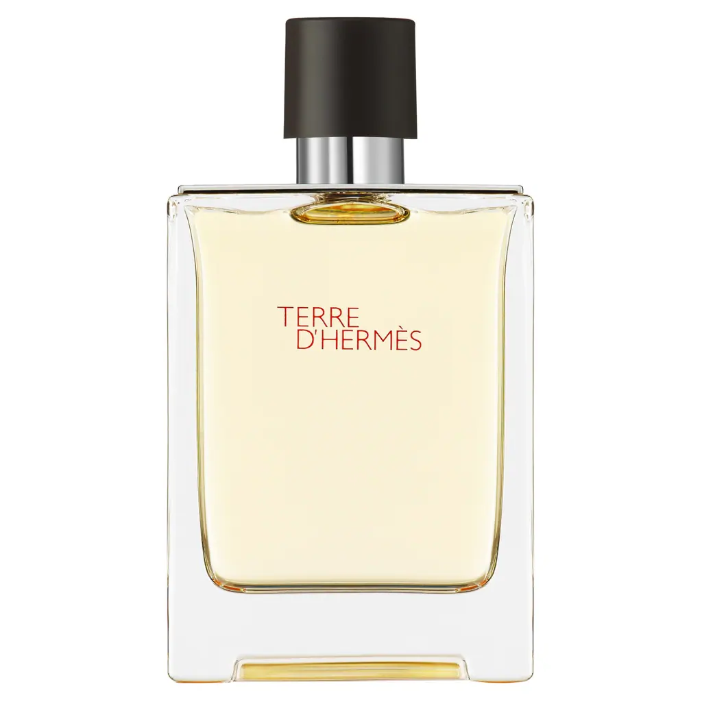 HERMÈS Terre d'Hermès, Eau de Toilette, 100ml