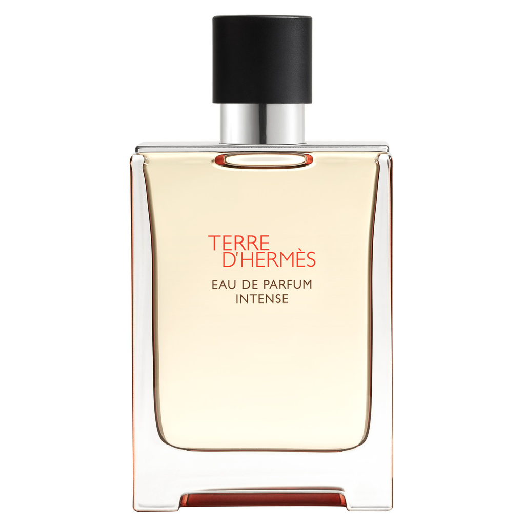 HERMES Terre d'Hermes, Eau de Parfum, Intense 100ml