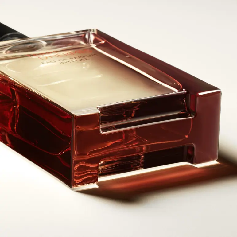 HERMÈS Terre d'Hermès, Eau de Parfum, Intense 100ml