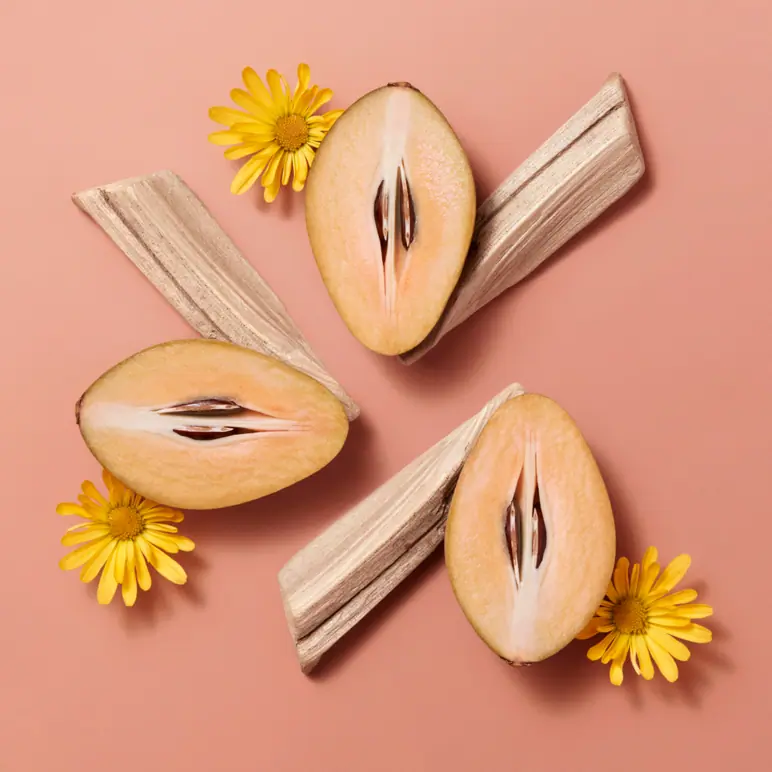 HERMÈS Hermèsistible, Infused Care Oil