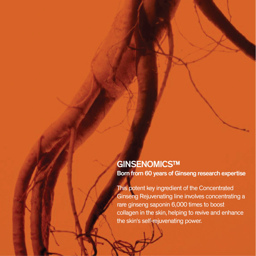 Sulwhasoo Concentrated Ginseng Rejuvenating Cream Rich 30ml 