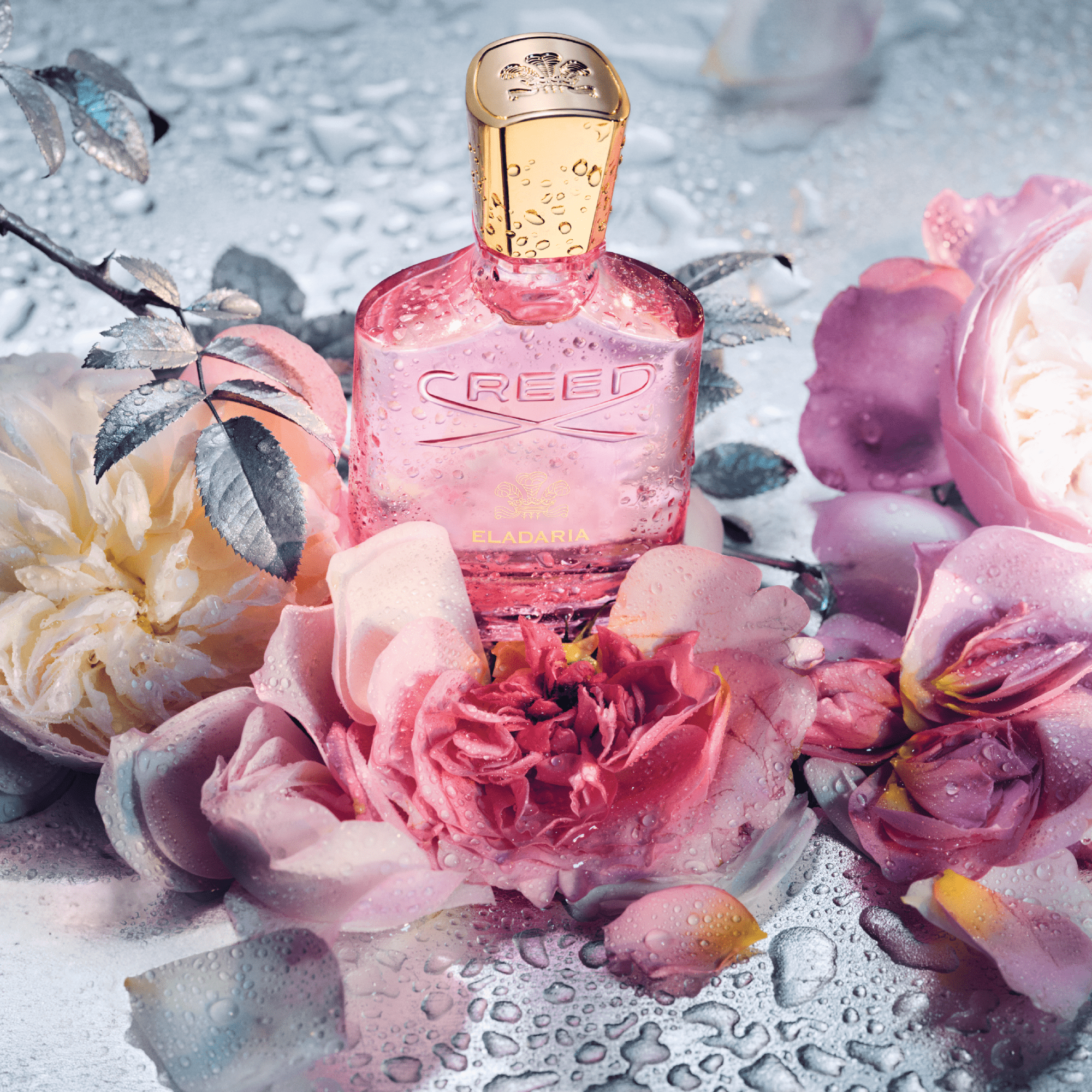 Creed Eladaria Eau de Parfum 75ML - Adore Beauty