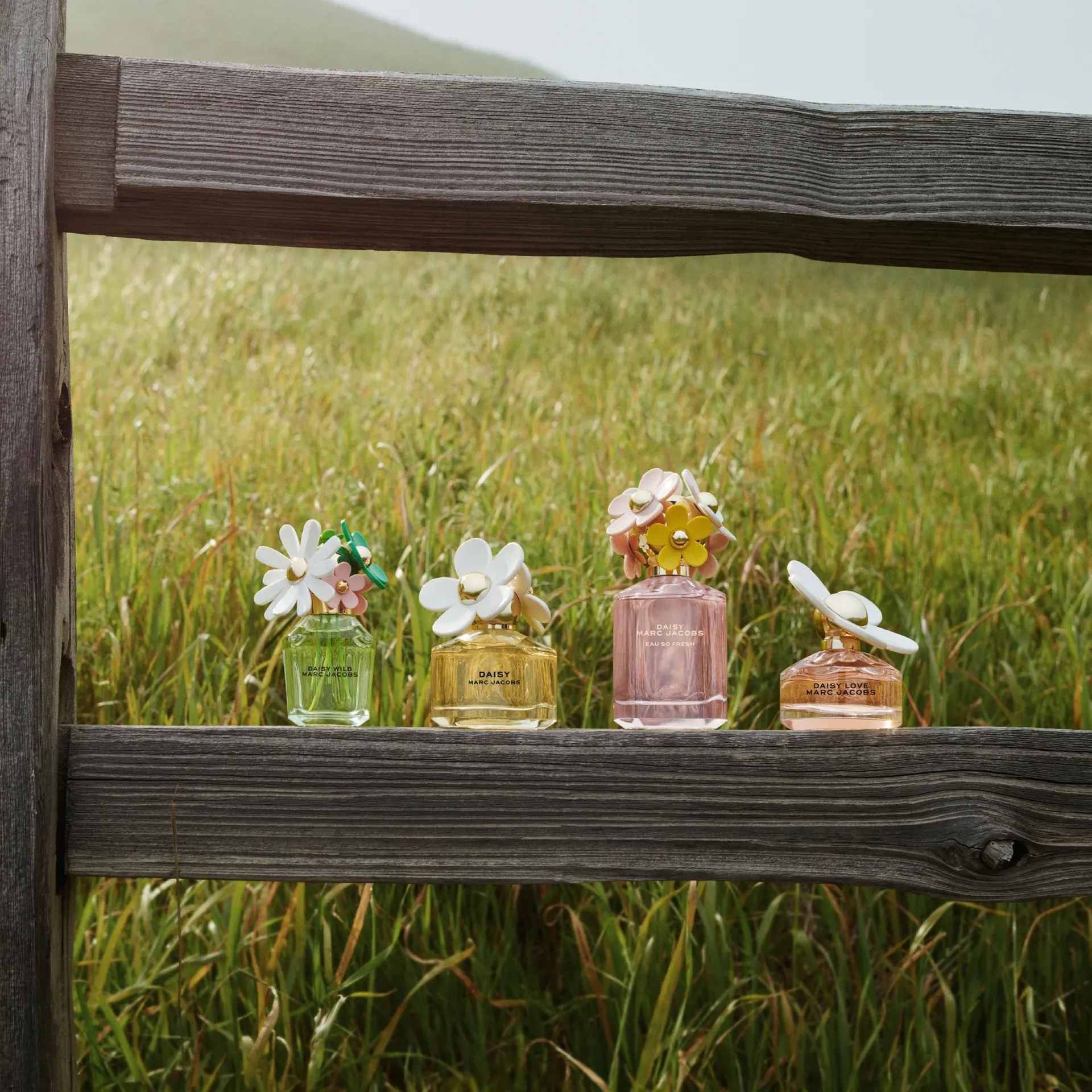 Marc Jacobs Daisy Wild Eau So Intense Eau de Parfum 100ml