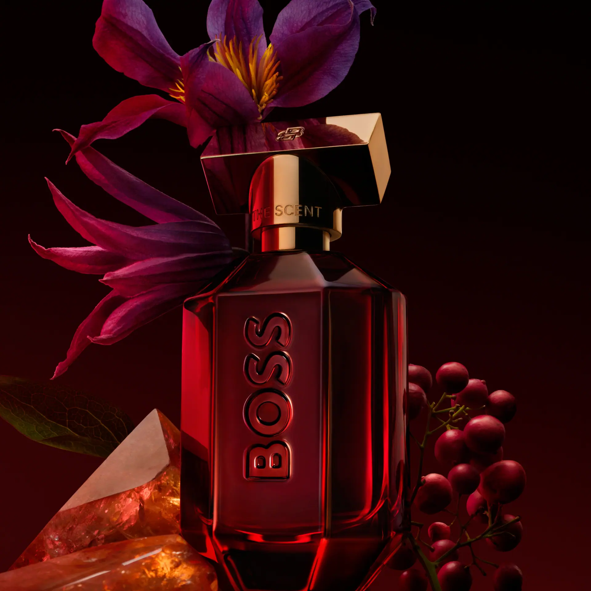 BOSS The Scent Elixir Parfum Intense For Her 50ml