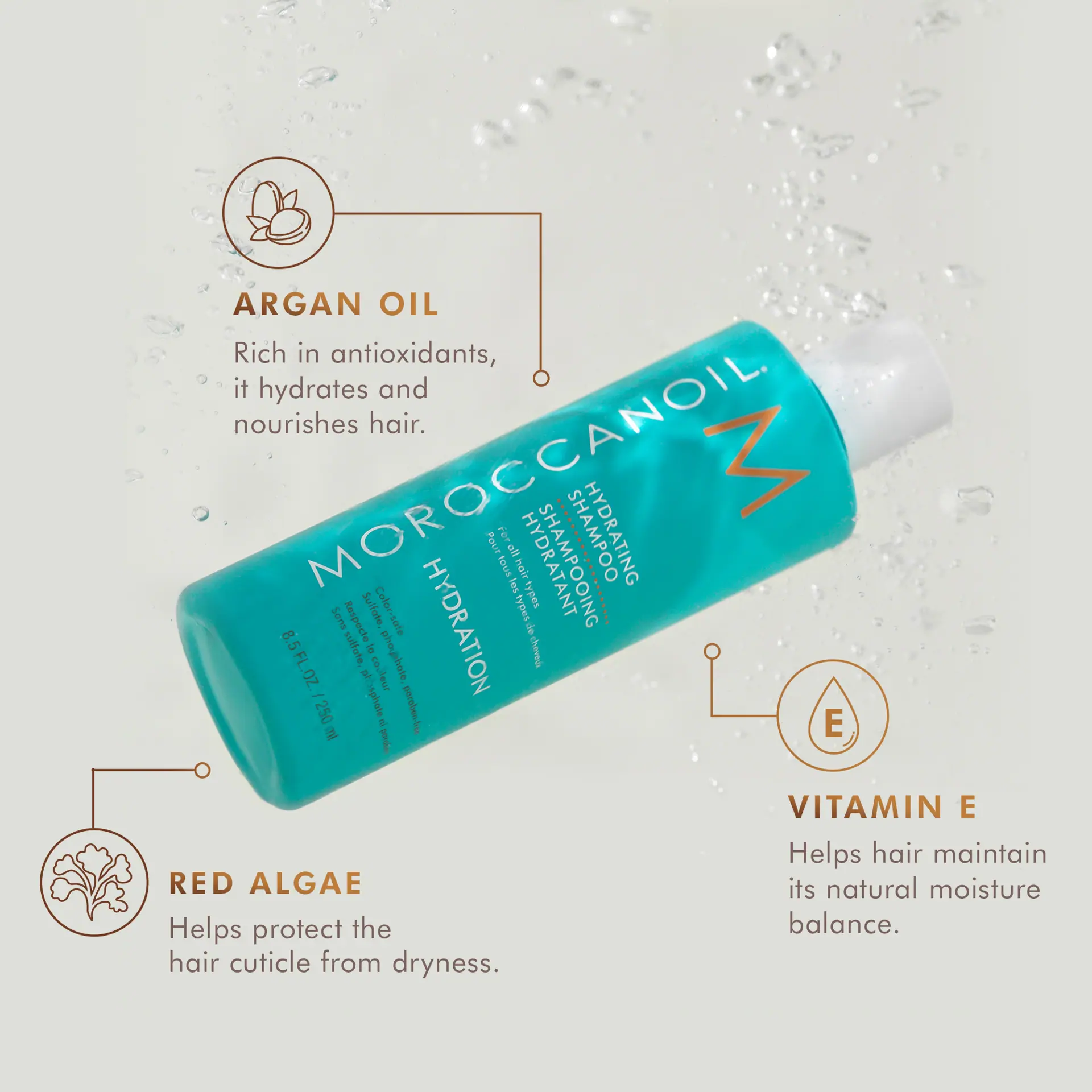 Moroccanoil Hydrating Shampoo 70ml