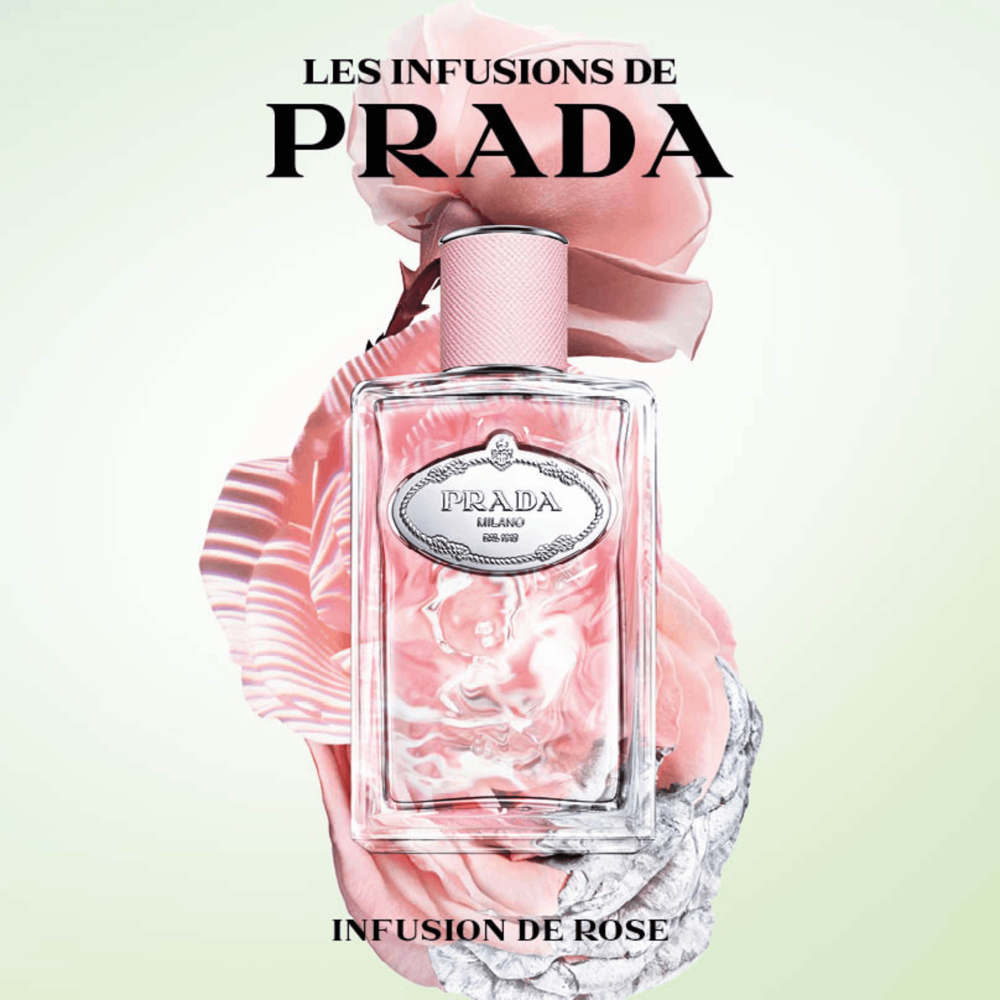 Prada Infusion De Rose Eau De Parfum 100ml - Adore Beauty