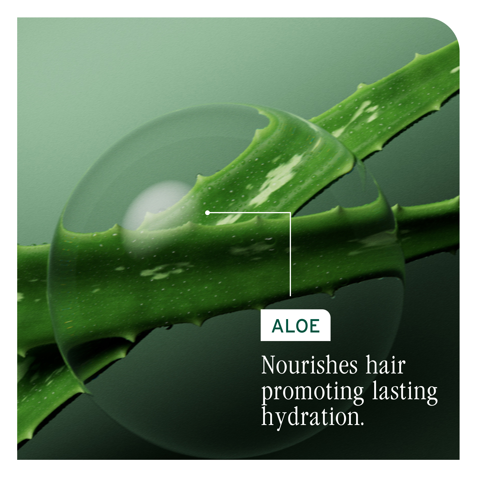 Biolage Hydra Source Balm Conditioner 500ml