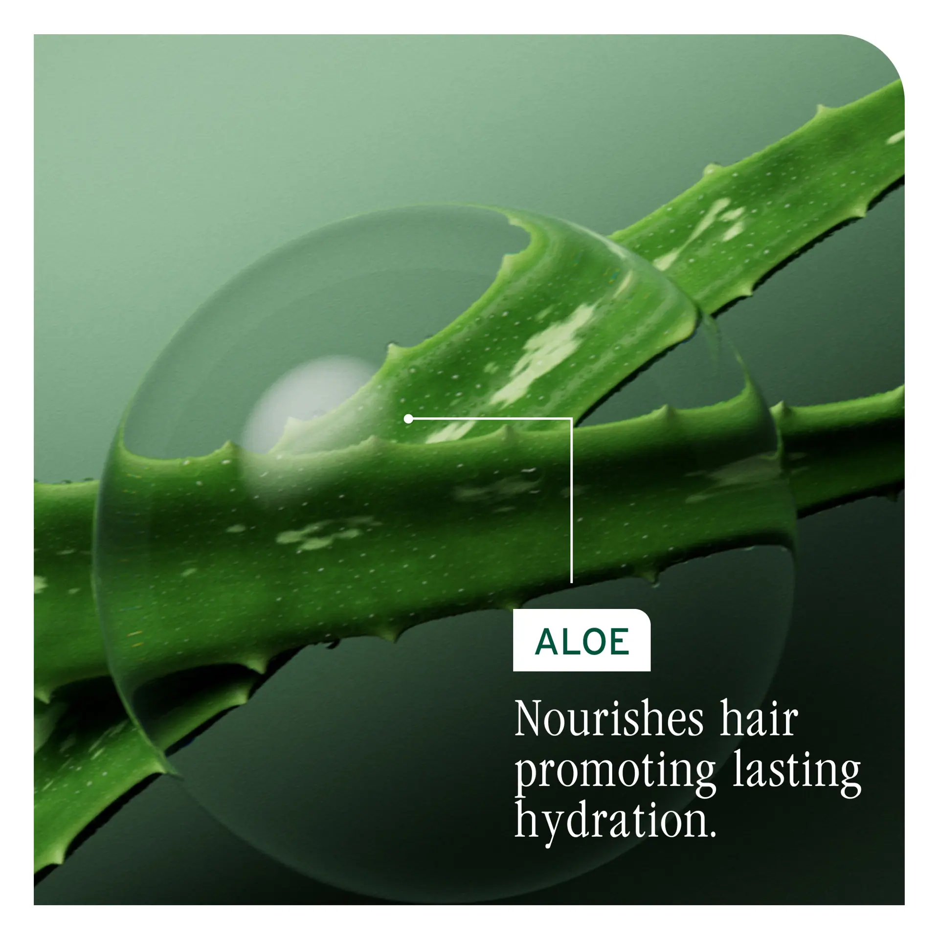 Biolage Hydra Source Balm Conditioner 500ml