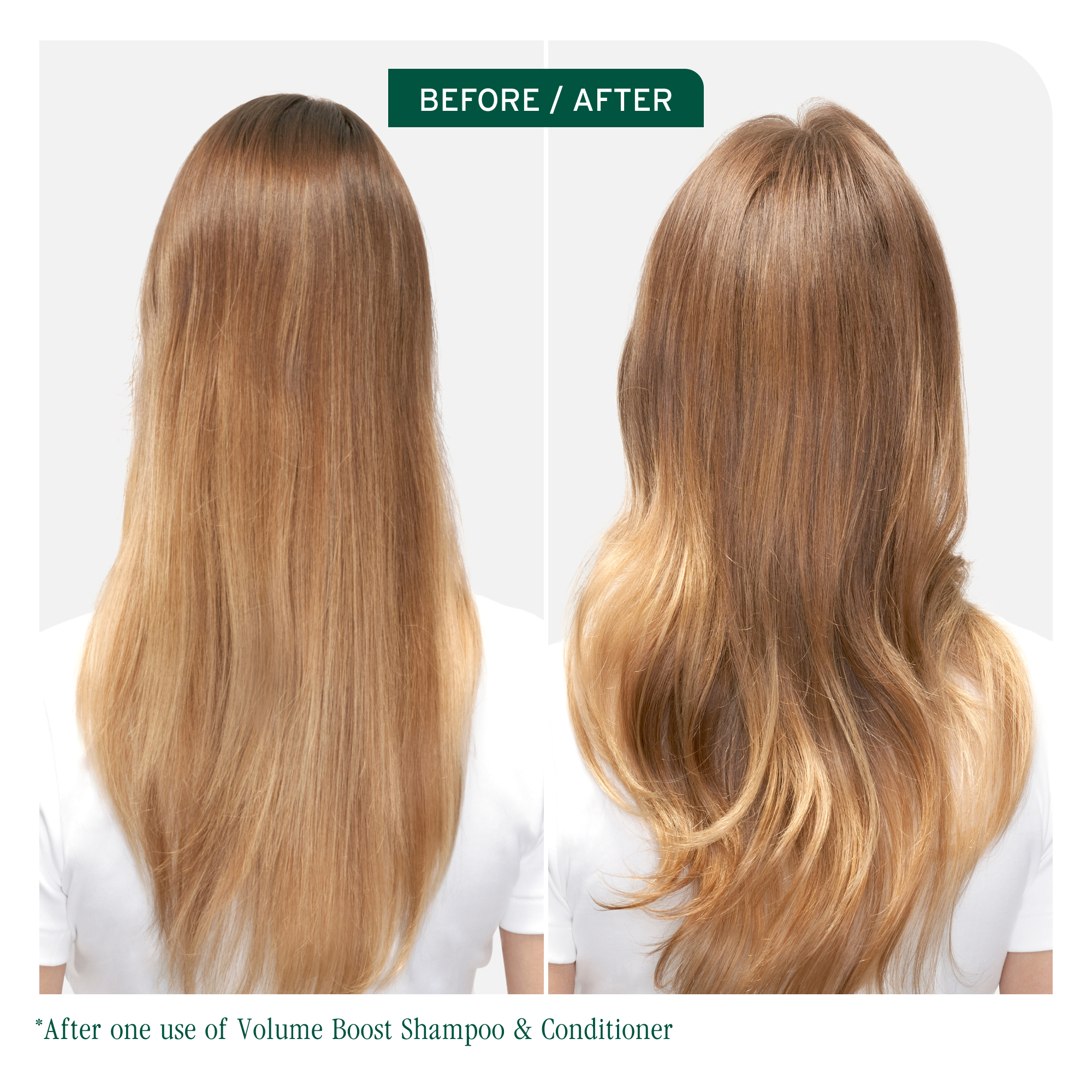 Biolage Volume Boost Shampoo 400ml