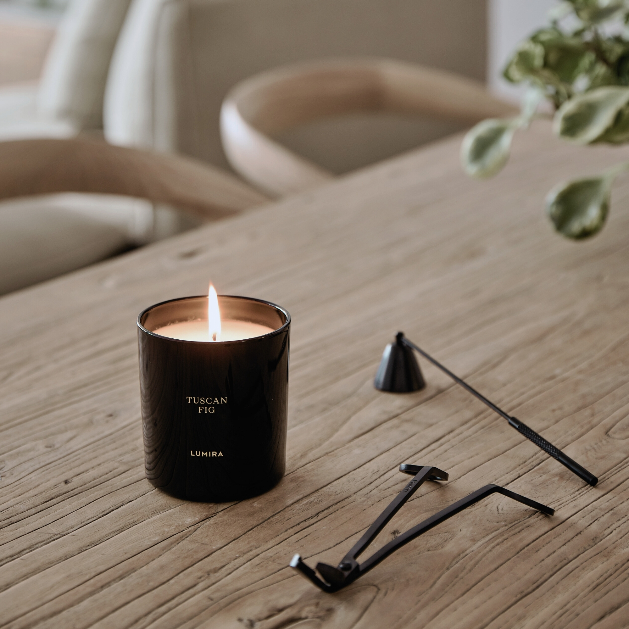 Lumira Glass Candle - Tuscan Fig Large