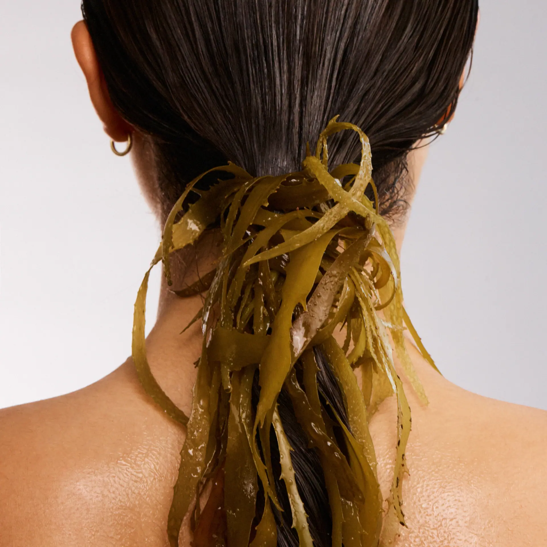 The Beauty Chef Hair Bioticâ„¢