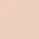 DIOR Forever Skin Perfect Foundation Stick 0.5N
