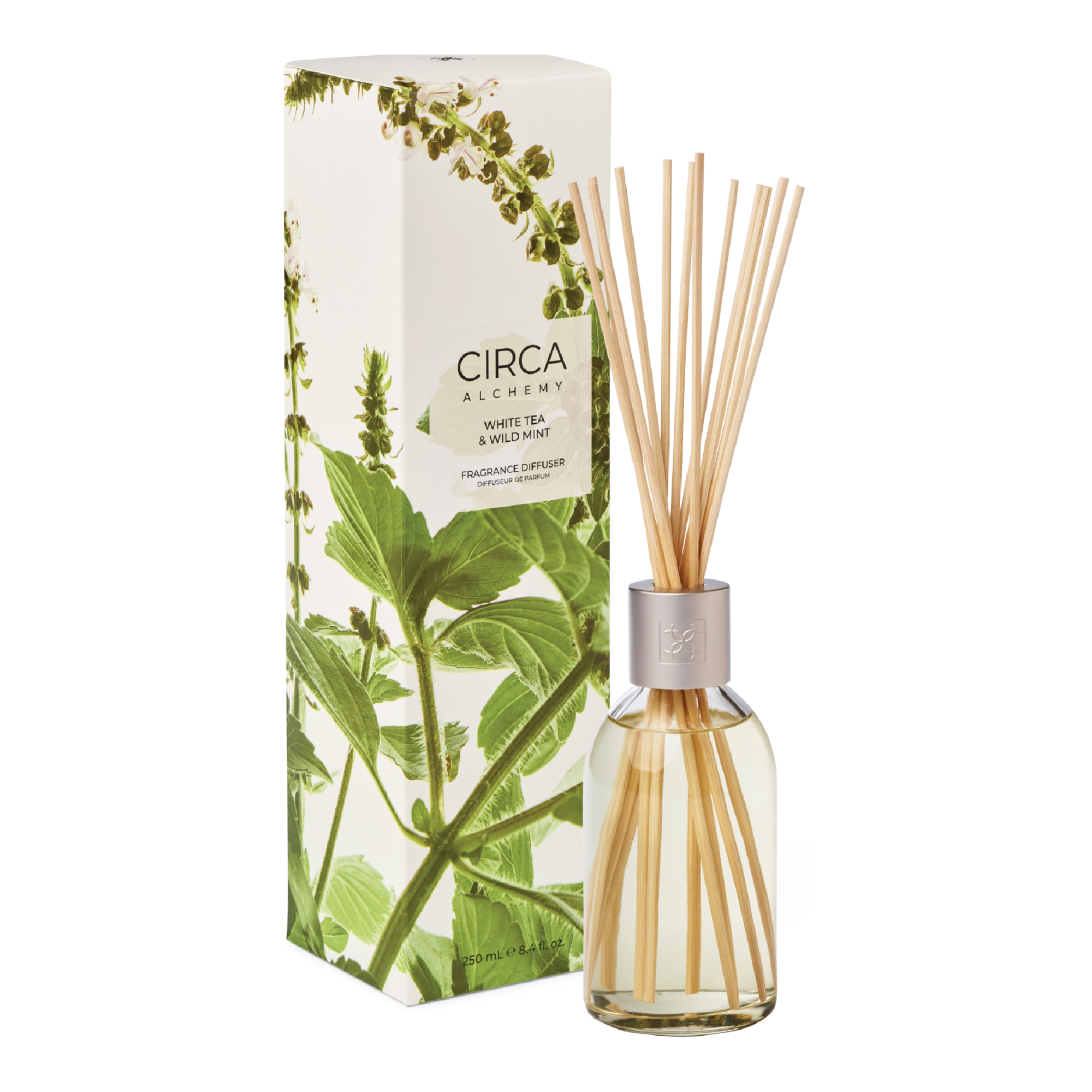 CIRCA 250ml Diffuser - Alchemy - White Tea & Wild Mint