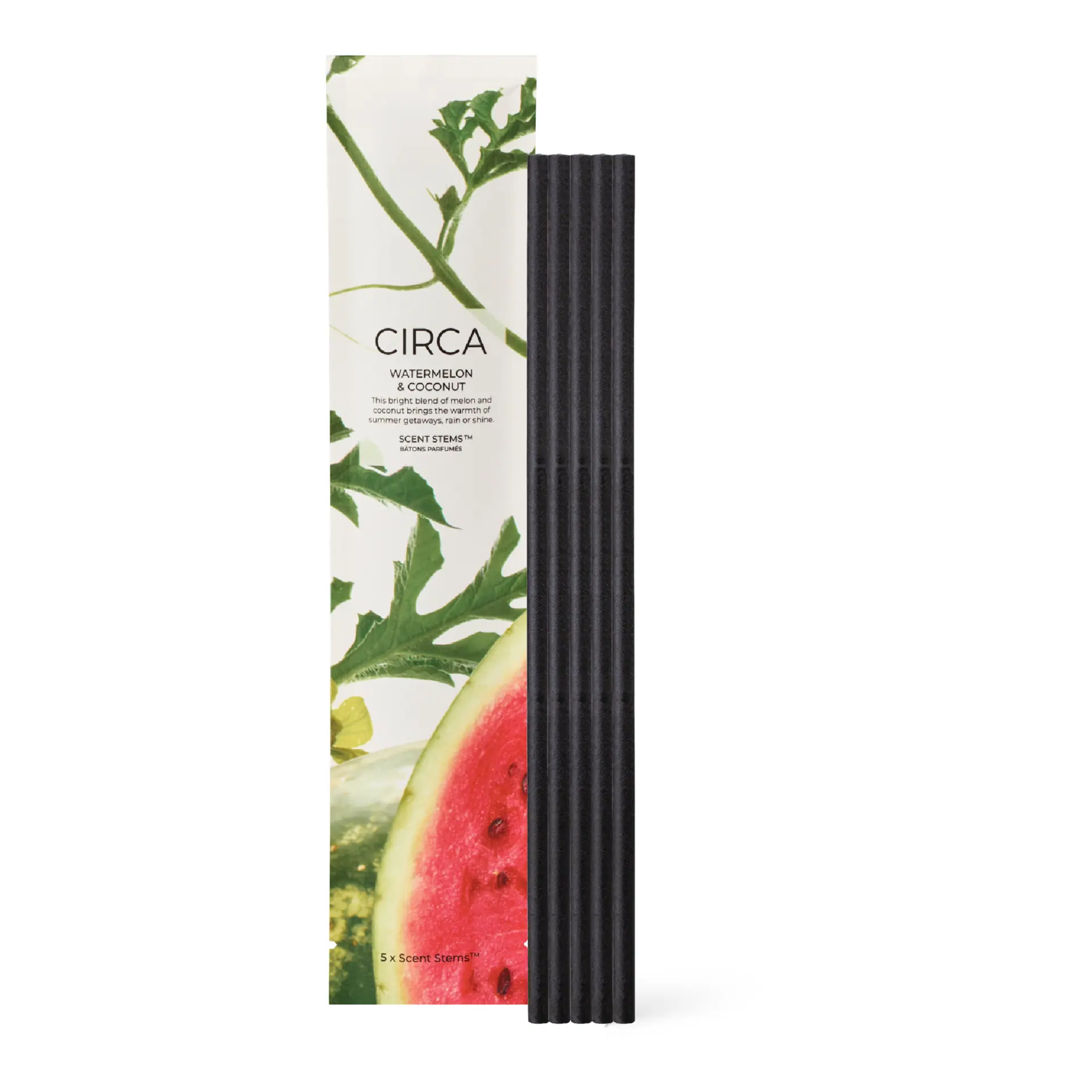 CIRCA 5 Replacement Scent Stems - Coconut & Watermelon