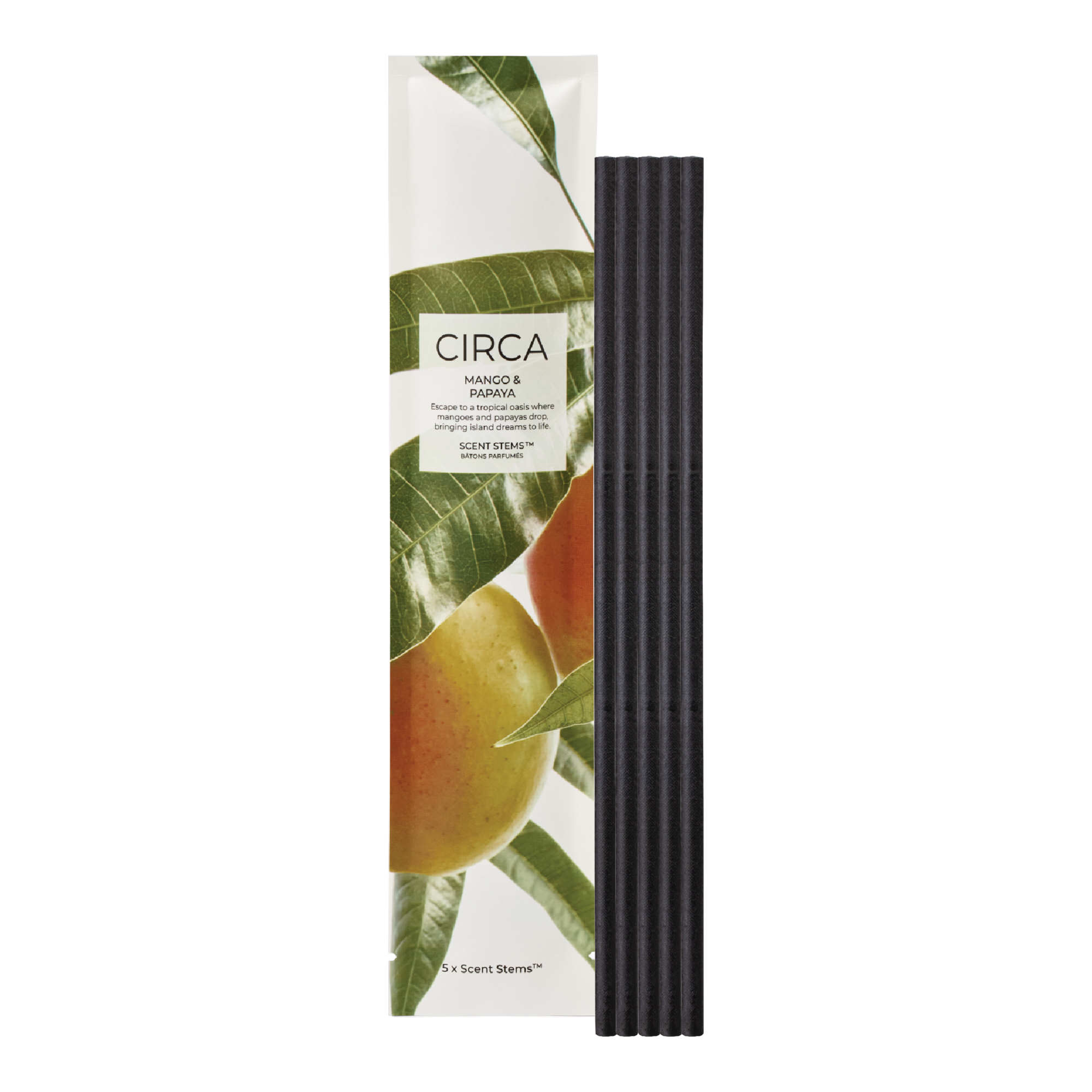 CIRCA 5 Replacement Scent Stems - Mango & Papaya