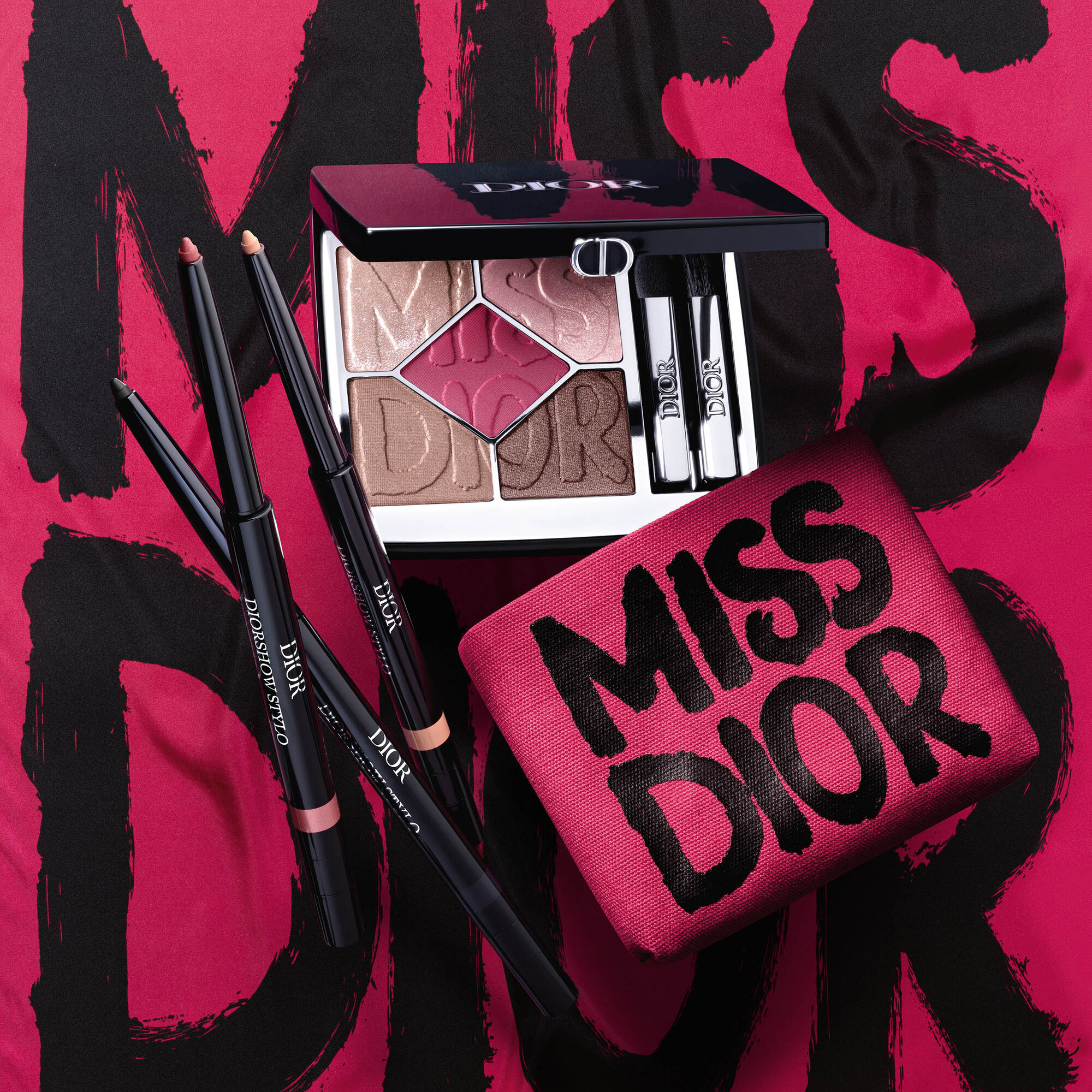 DIOR Diorshow Stylo Limited Edition
