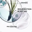 Kérastase Résistance Strengthening Shampoo for Brittle Hair 250ml