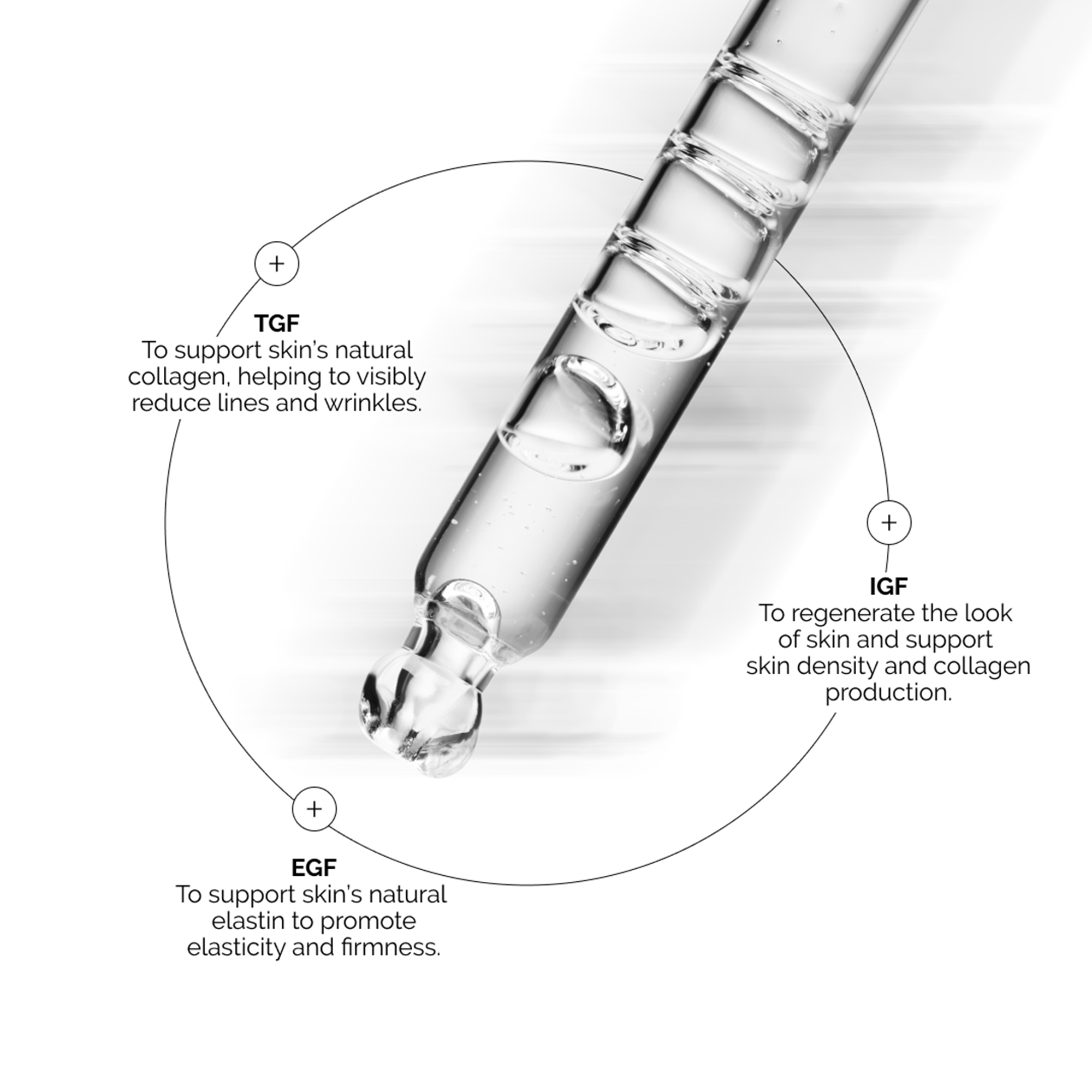 The Ordinary GF 15% Solution - 30ml
