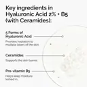 The Ordinary Hyaluronic Acid 2% + B5 - 30ml