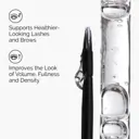 The Ordinary Multi-Peptide Lash and Brow Serum - 5ml