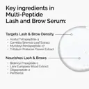 The Ordinary Multi-Peptide Lash and Brow Serum - 5ml