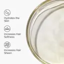 The Ordinary 100% Organic Cold-Pressed Moroccan Argan Oil