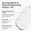The Ordinary Natural Moisturizing Factors + HA - 30ml