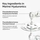 The Ordinary Marine Hyaluronics