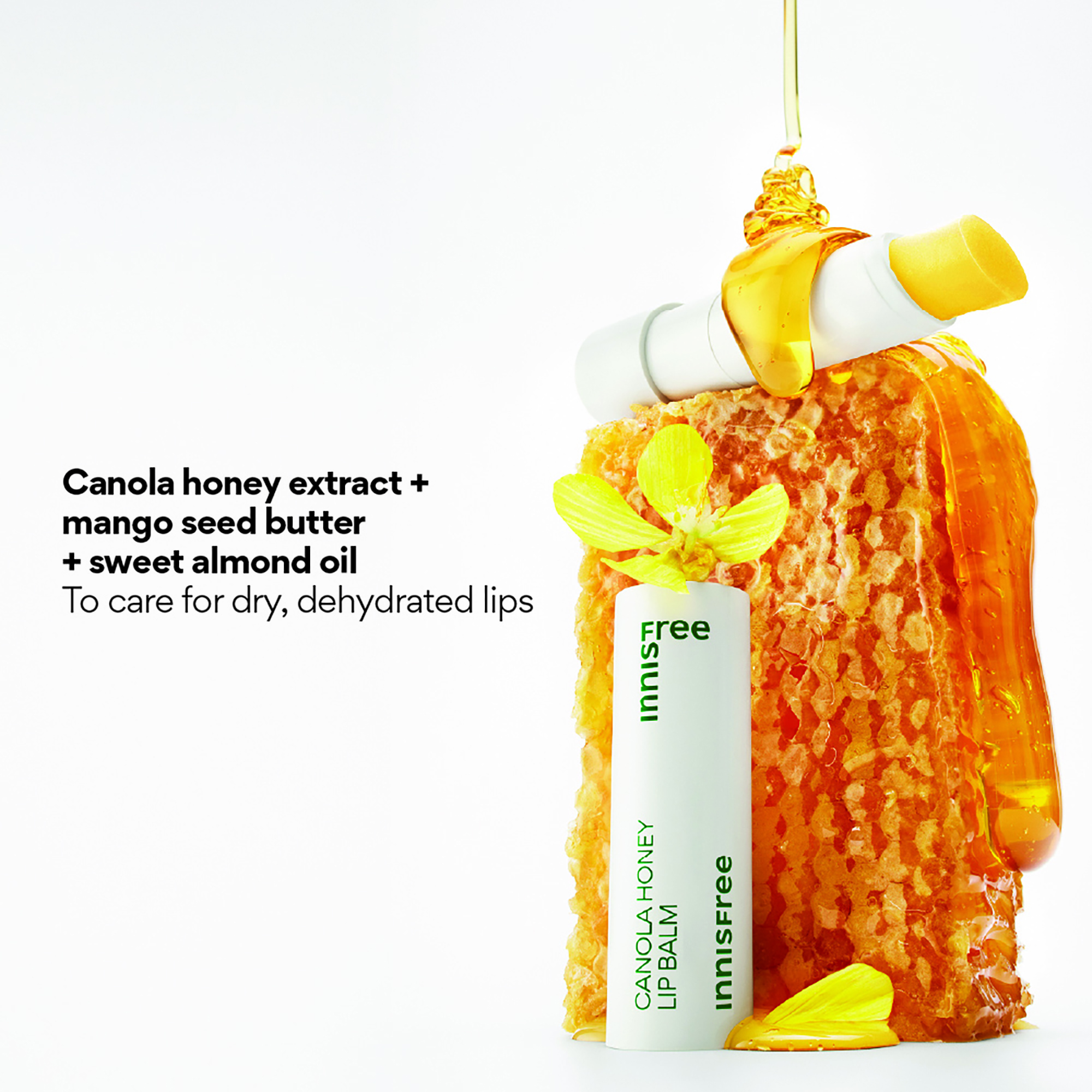 INNISFREE Canola Honey Lip Balm