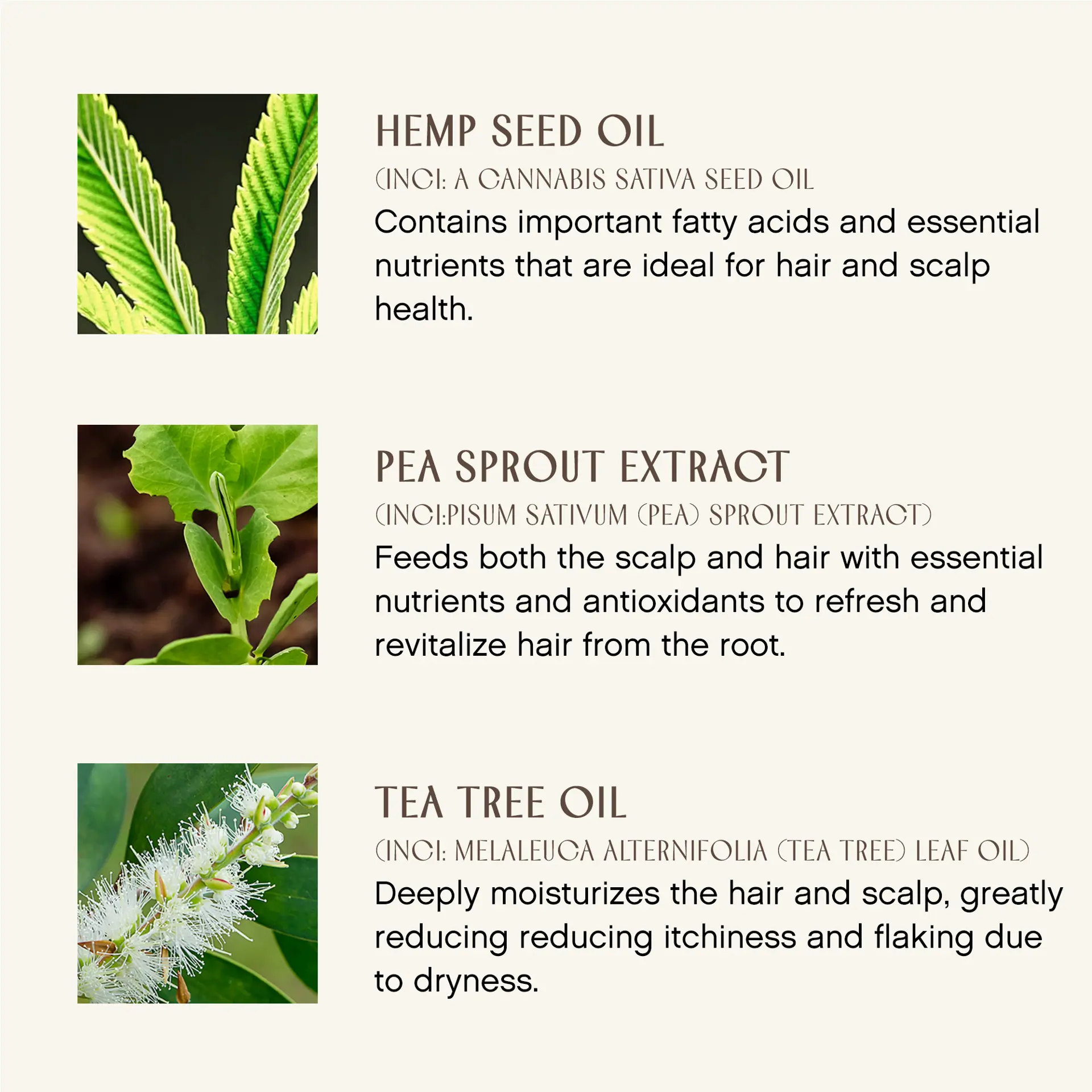 Innersense Organic Beauty Hair Renew Daily Active Serum Flaky Sensitive Scalp