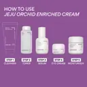 INNISFREE Jeju Orchid Enriched Cream 50ml