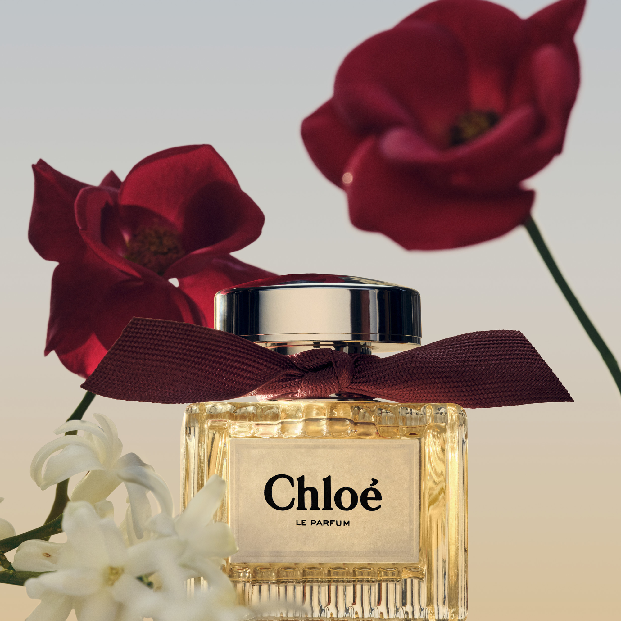 Chloé Le Parfum for Women 50ml