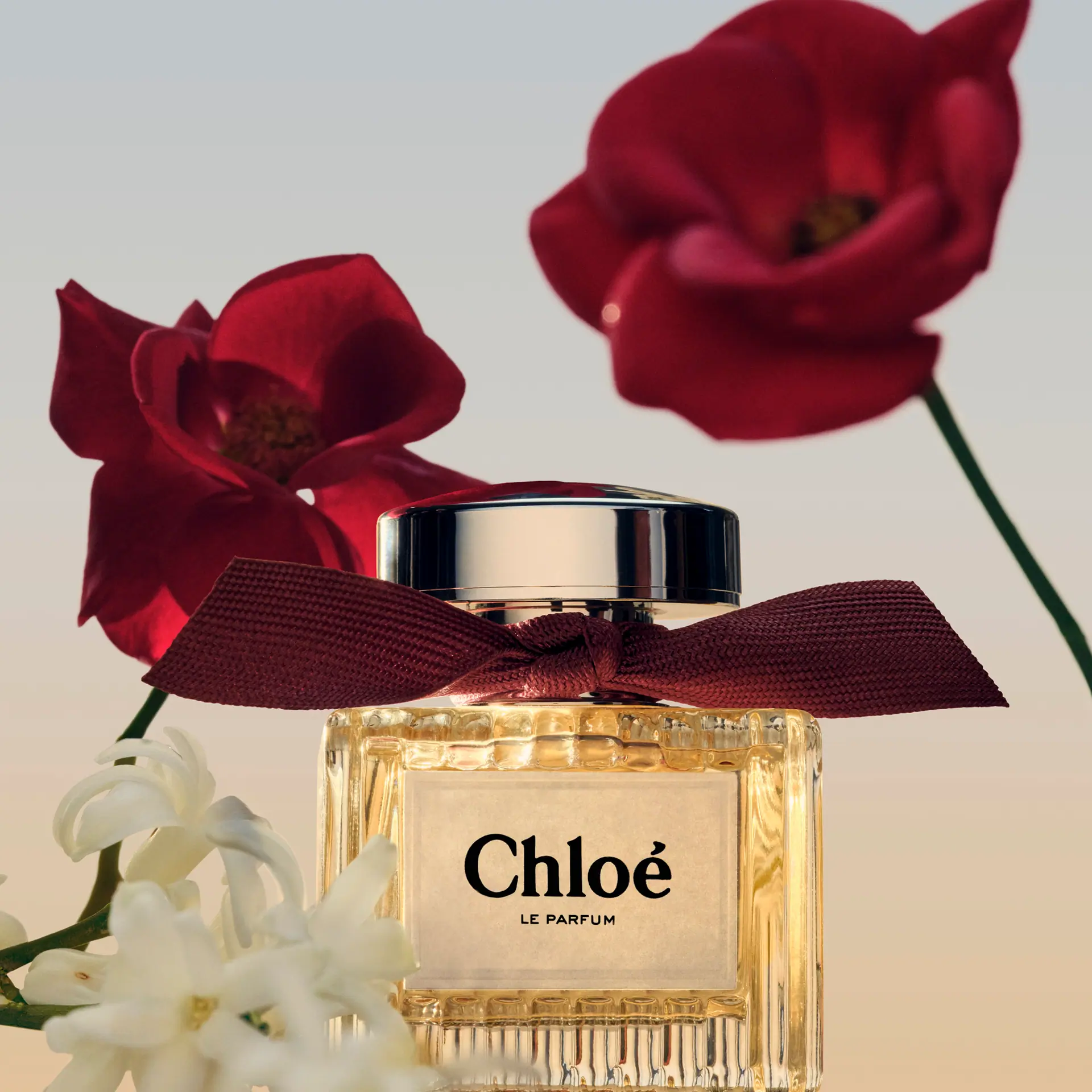 Chloé Le Parfum for Women 100ml